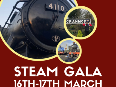 Steam Gala 2024